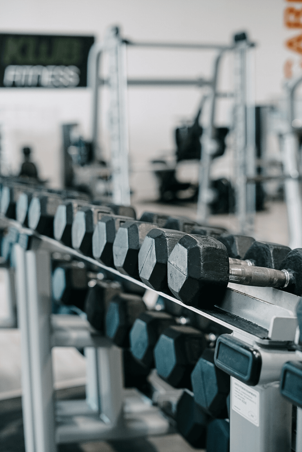 Image montrant le rack des haltères